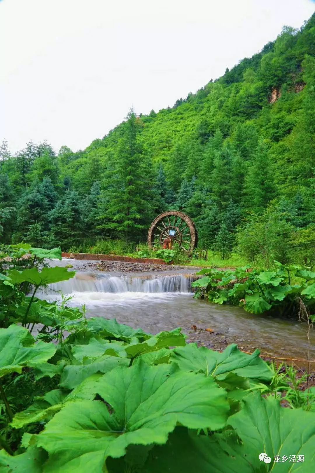 盛夏避暑到涇源,走進老龍潭彷彿走進了一幅巨大的山水畫中,陽光下的潭