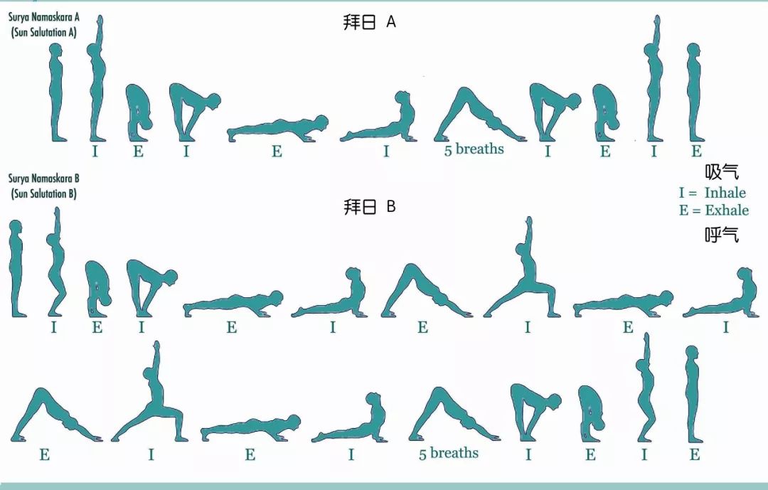 超详细的瑜伽拜日ab瑜伽练习者经典收藏