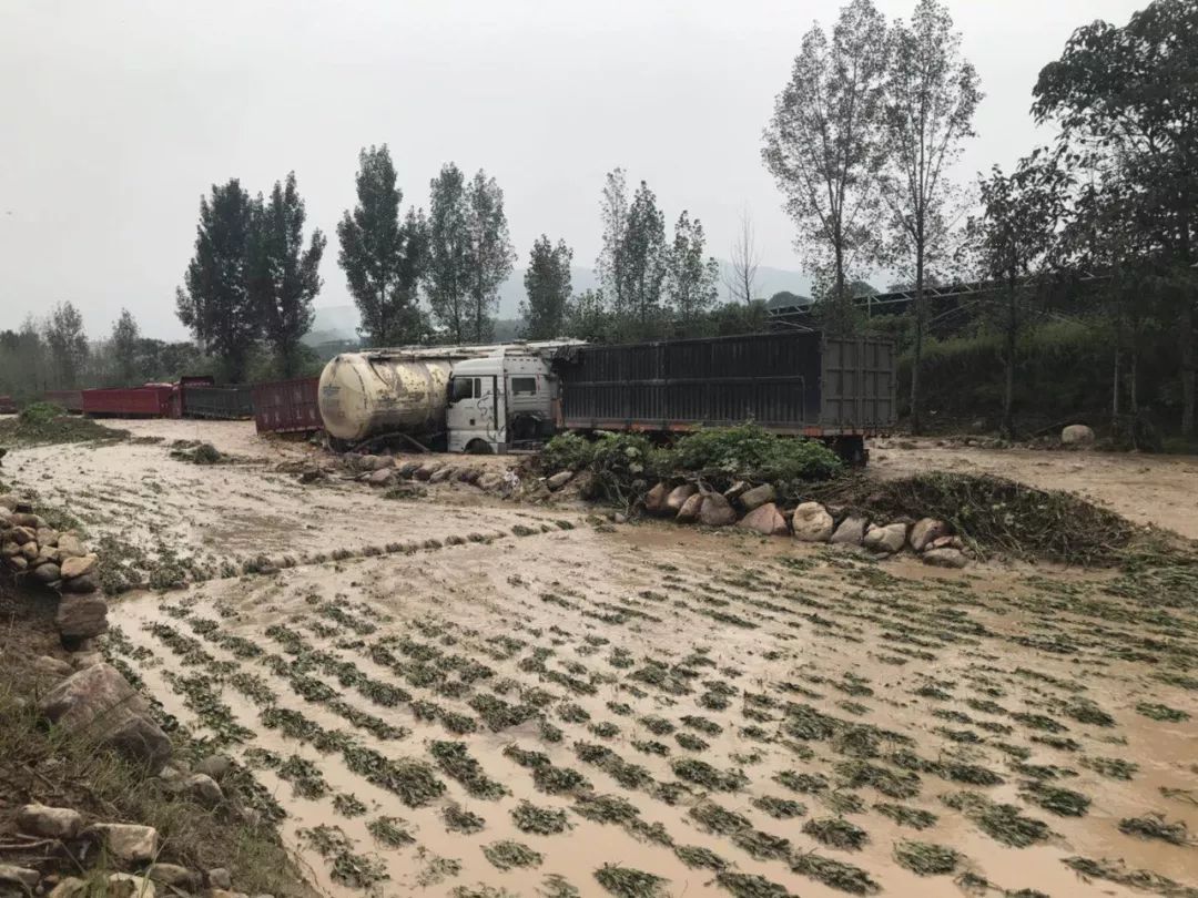 偃师暴雨图片