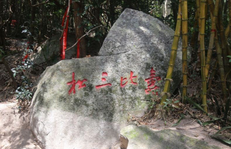 梵天净土寿比南山图片