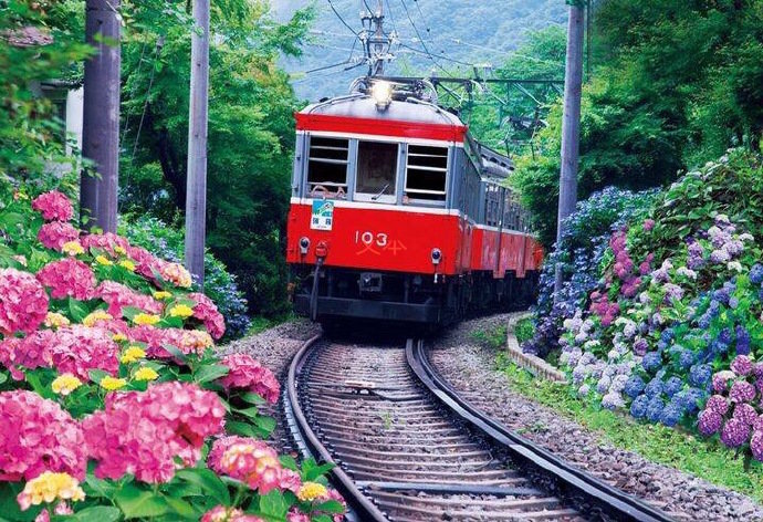 乘坐日本獨具特色的觀光列車你才知道什麼叫風景如畫