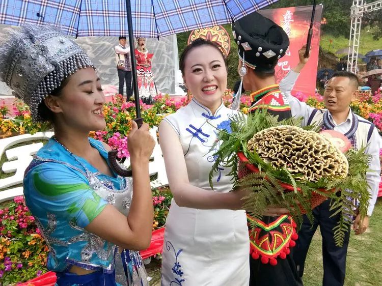 15000元可以干嘛答案是买一朵干巴菌快来看看宜良的网红干巴菌