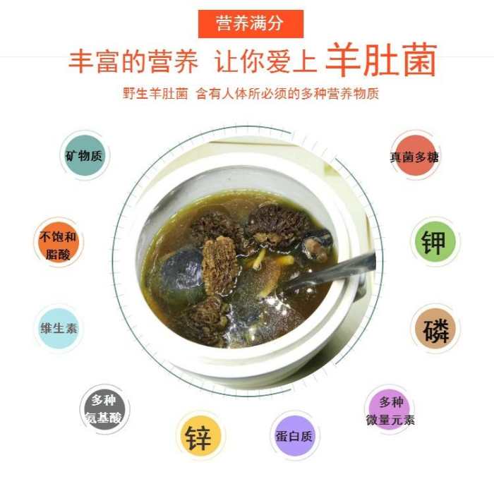 高原羊肚菌功效和药用价值