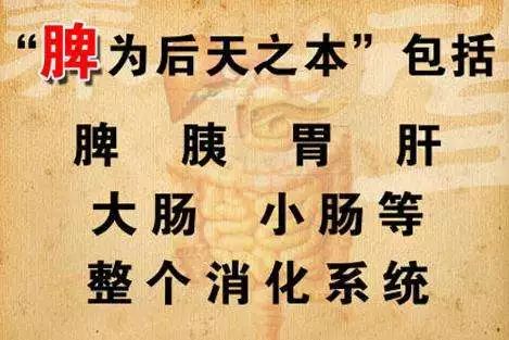 为什么宝宝生病总是脾胃问题?