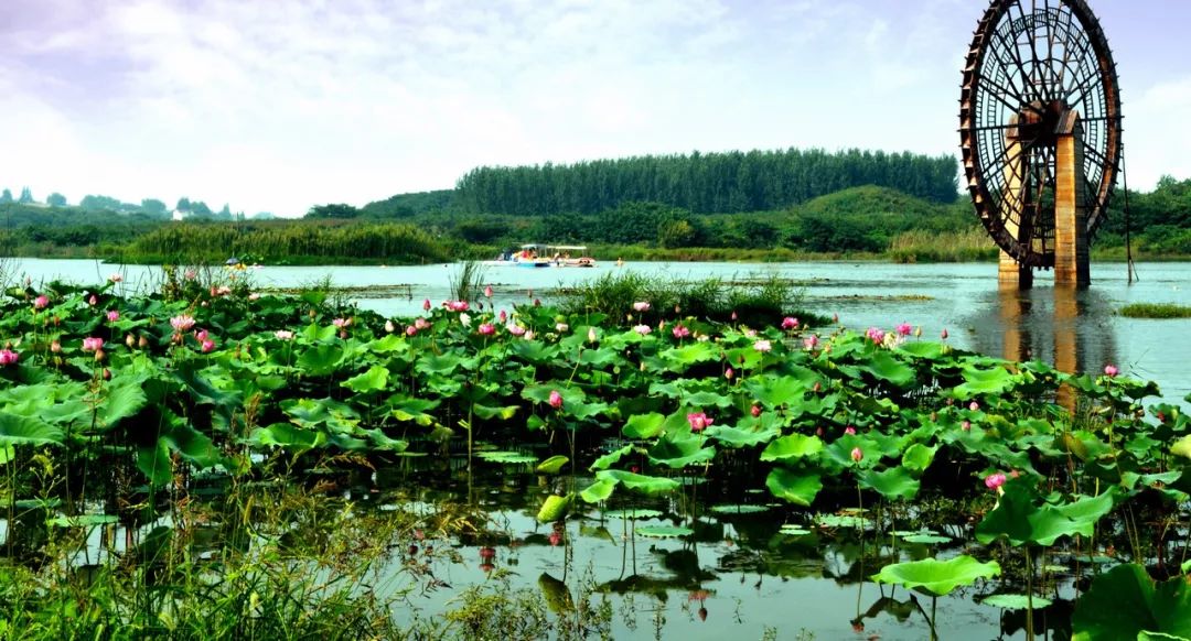 避暑湖藍色的江寧之夏讓我們一同舟行碧波上