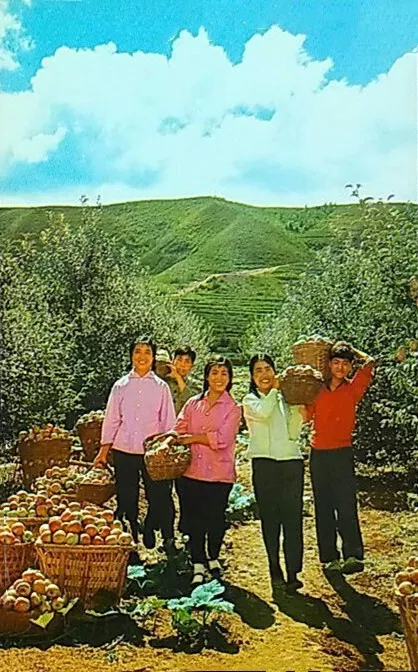老照片:60年代的大寨村,到处一片丰收景