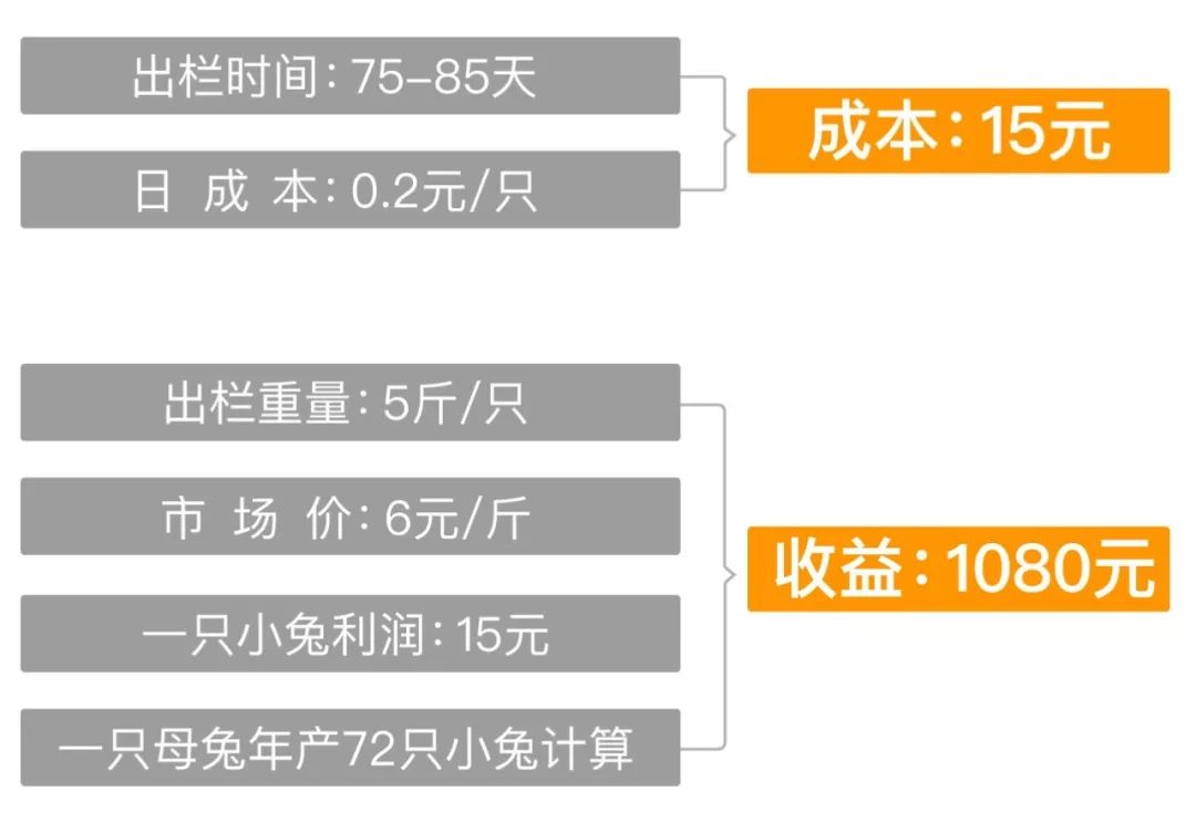 兔子养殖利润图片