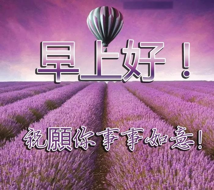 8月最新早上好圖片八月最好看早上好動態表情包