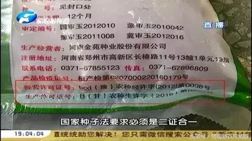 铁研919玉米种子审定号图片