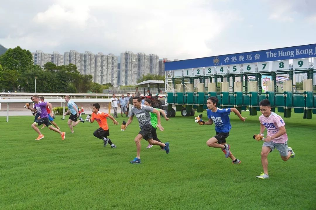 彭福公園除了有每年最受歡迎的「小馬策騎樂」和「與雪特蘭小馬合照」