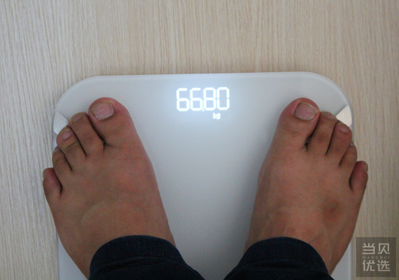 yolanda体脂秤mini让你对自己的体重健康负责