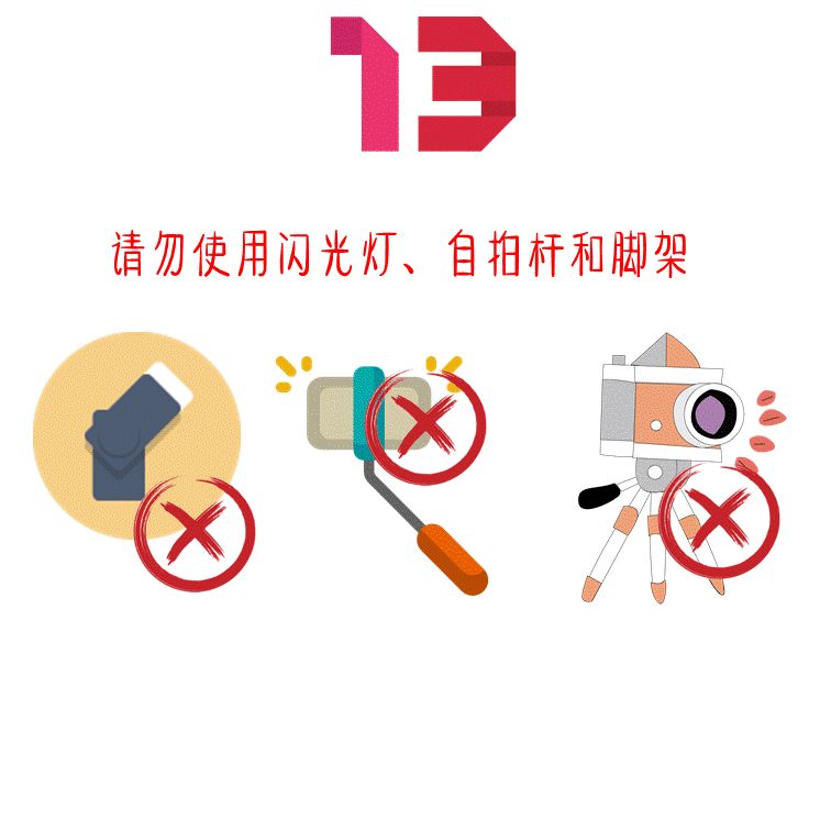 走进博物馆参观小贴士图片