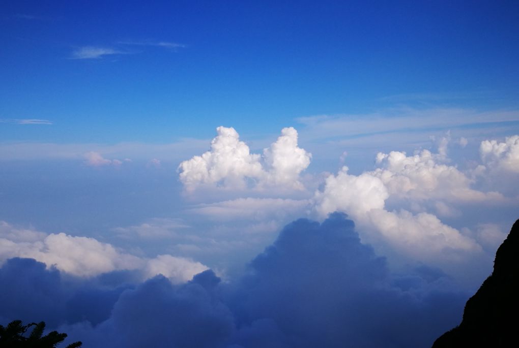 峨眉山的云都在凹造型了你还在问天气好不好