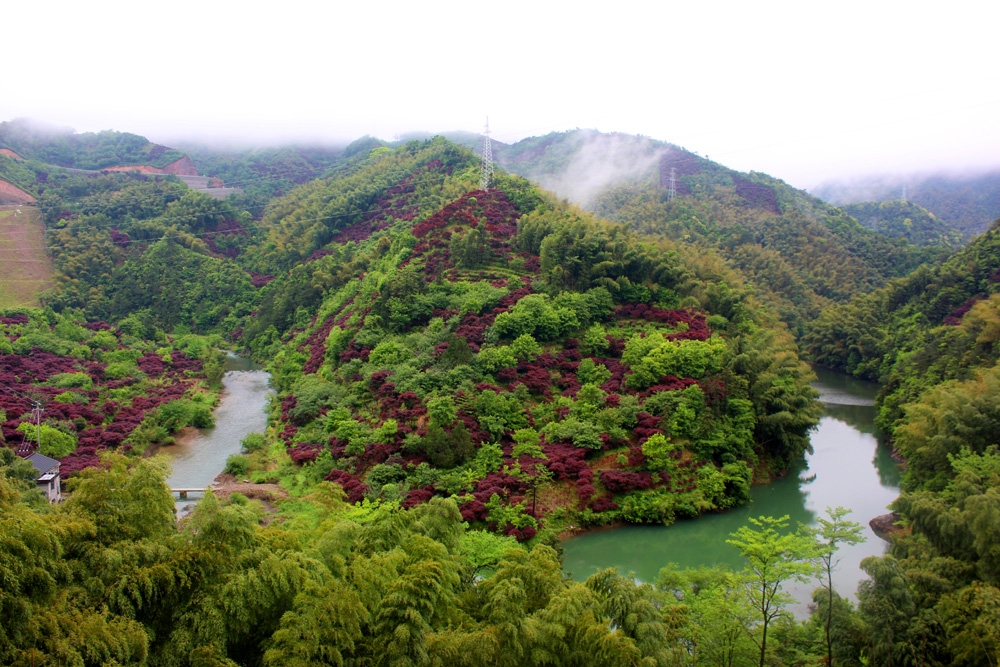 寧波最美自駕遊公路無限風光在山中如何玩轉四明山