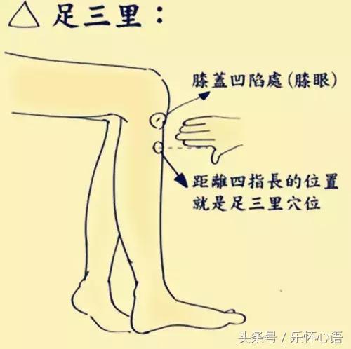 虎口在哪图片