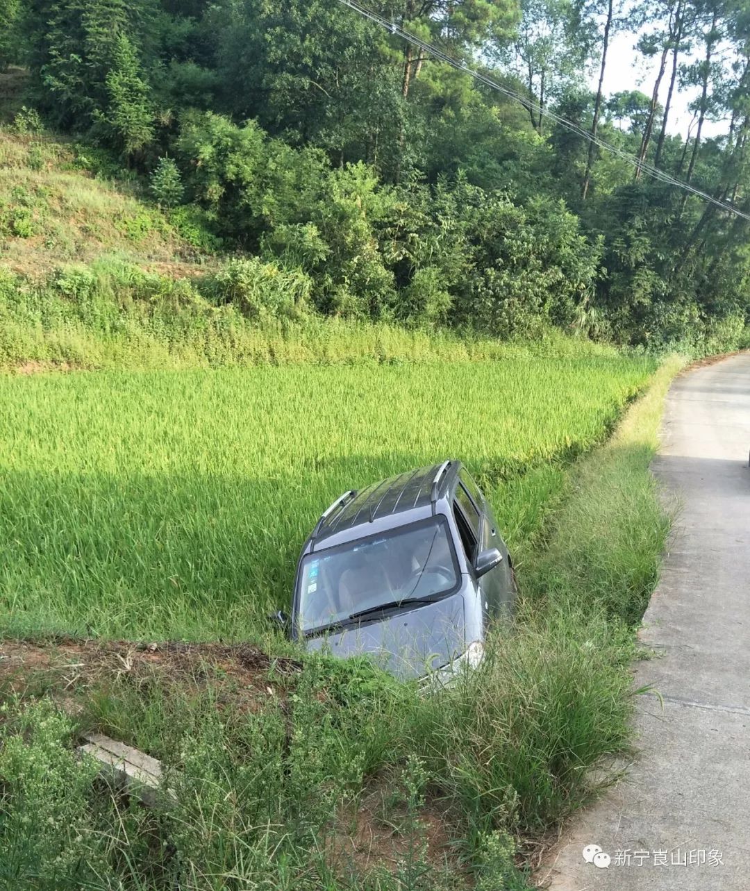 新寧一帥哥開車玩微信把車開進稻田裡圖