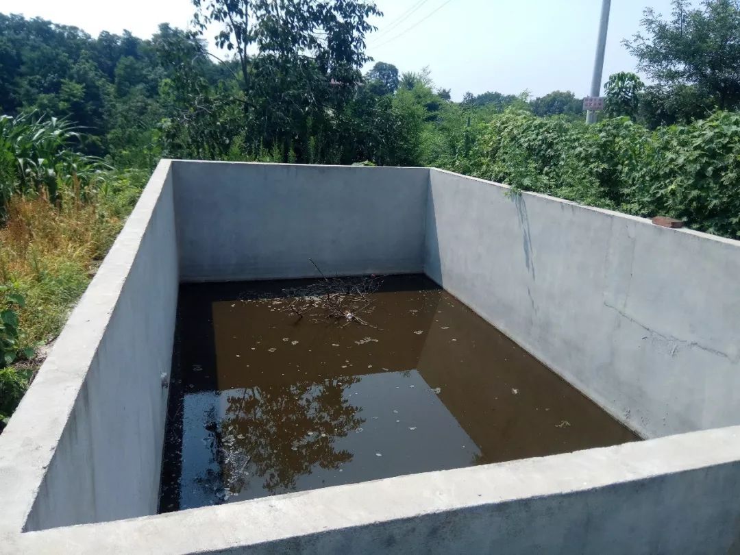 处理过的粪水可以用于田地施肥化粪池沼气压力表养猪场负责人打开沼气