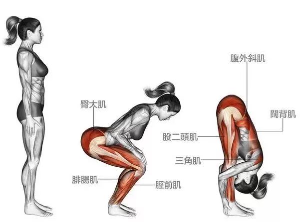 【haidegym鏡湖體育館海德全民健身中心】新手必學的7個瑜伽拉伸動作,