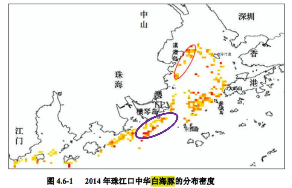 重磅珠海又要建機場了橫琴南填海規劃出細規