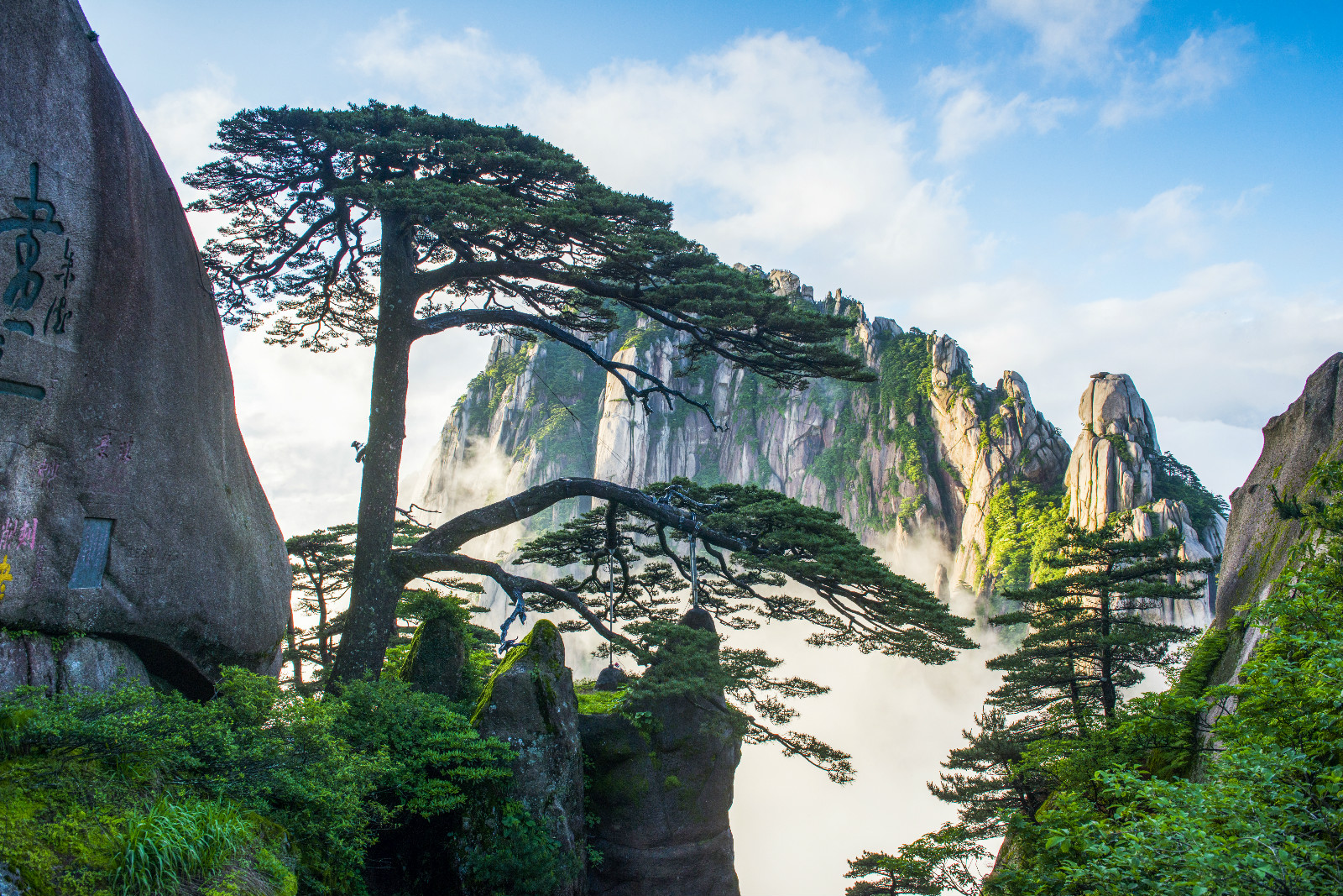 (黄山风景区)长江以南地区为皖南,代表的是徽州文化,包括黄山,芜湖