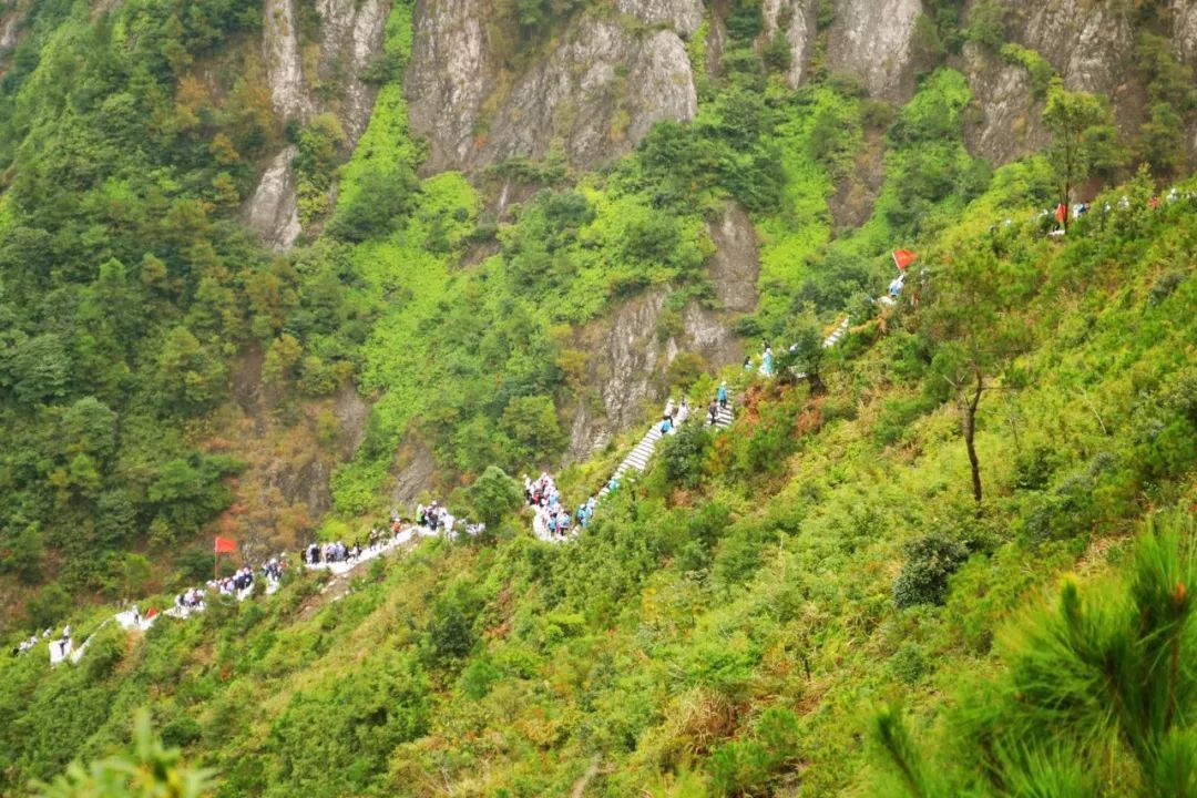 龙港还有一条这么漂亮的登山道你心动吗