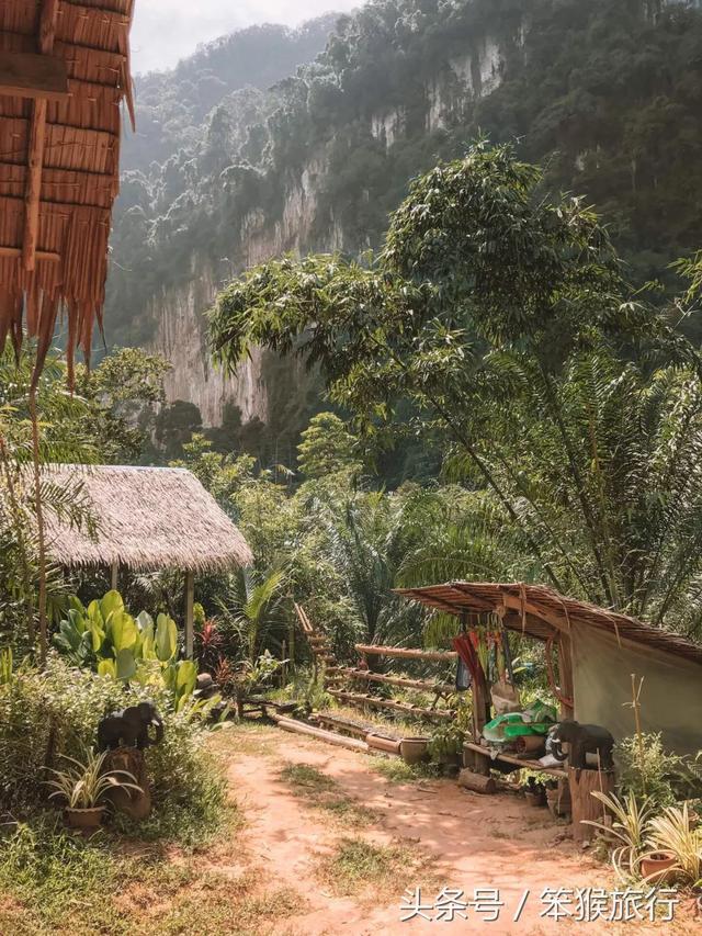 想清净几天住进泰国原始雨林里的水上度假屋600元就够了