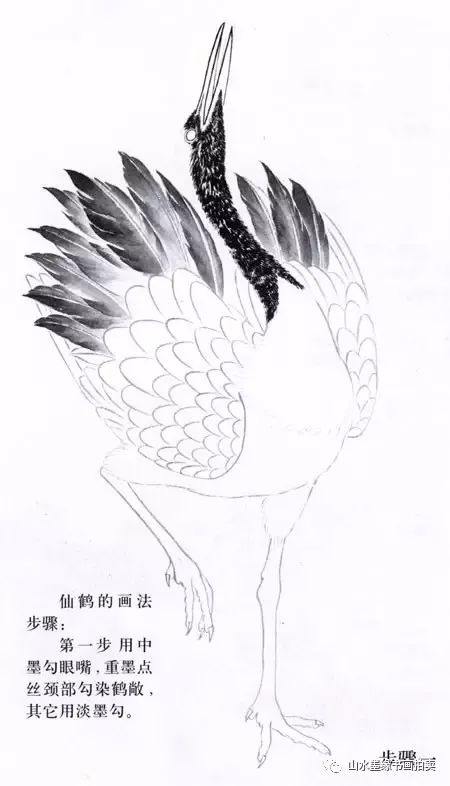 松鹤画法集锦