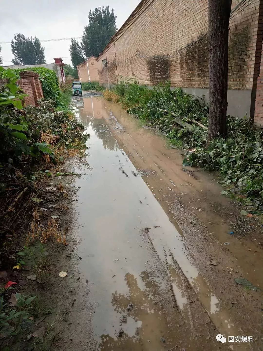 大雨侵袭固安!吉城村,宫村道路泥泞不堪,寸步难行.