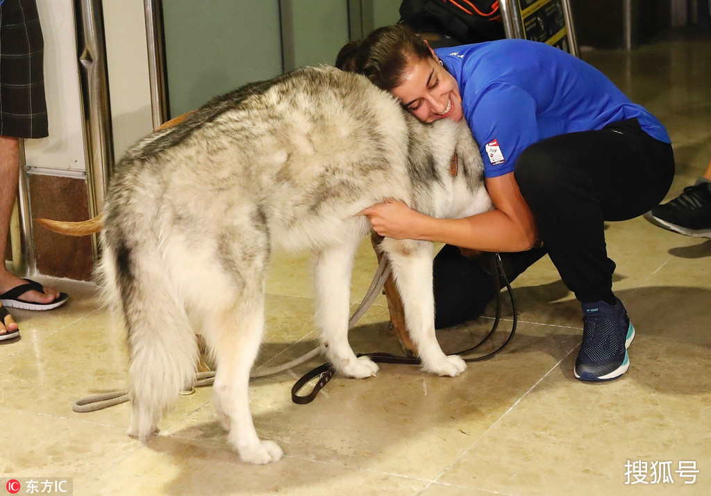 馬林攜羽毛球世錦賽金牌回國 擁抱愛犬畫面好暖