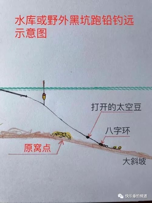 小跑铅钓法分解图图片