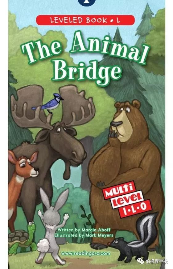 伯格理閱讀theanimalbridge