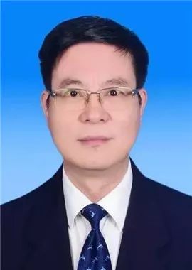 李湛江汉区区长张忠军江岸区区长蔡甸区委书记 陈新垓汉阳区委书记