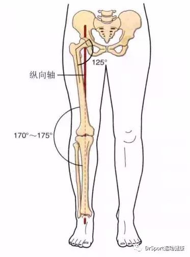 下肢力线示意图图片