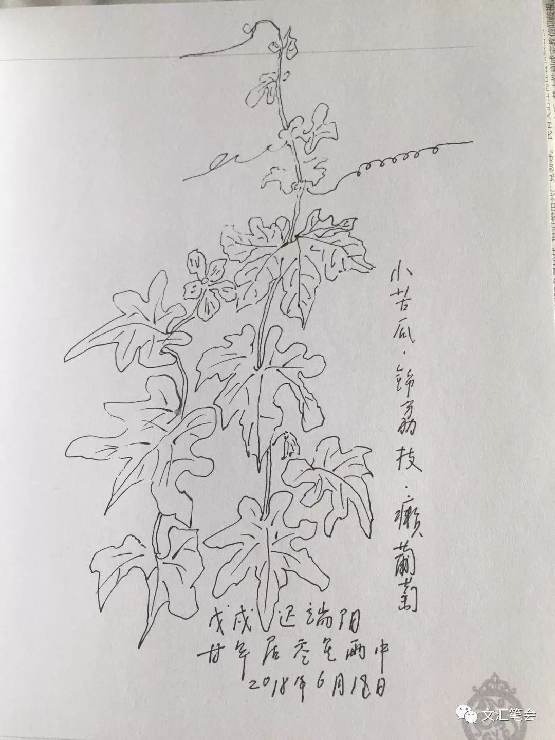 癩葡萄猶豔無花果早熟更甜何頻