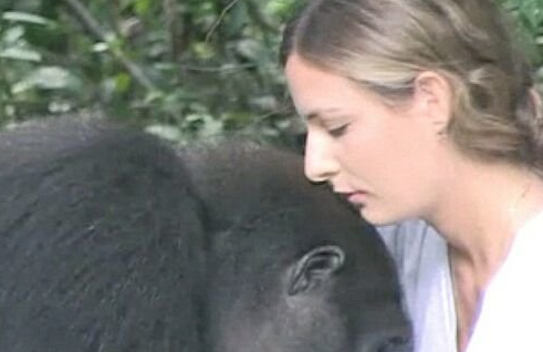 28岁女人和大猩猩结婚图片
