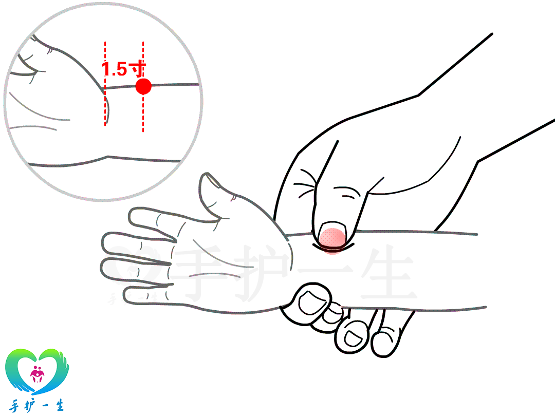 一窝蜂推拿准确位置图图片