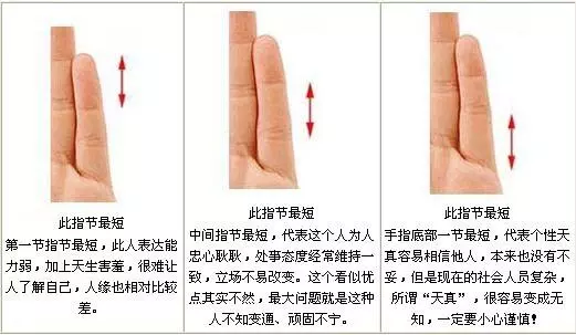 手相:七个方面从小指指节长度看性格运势