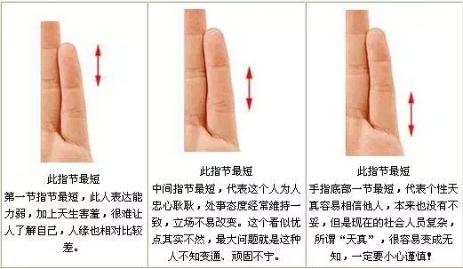 手指头长短说法图解图片