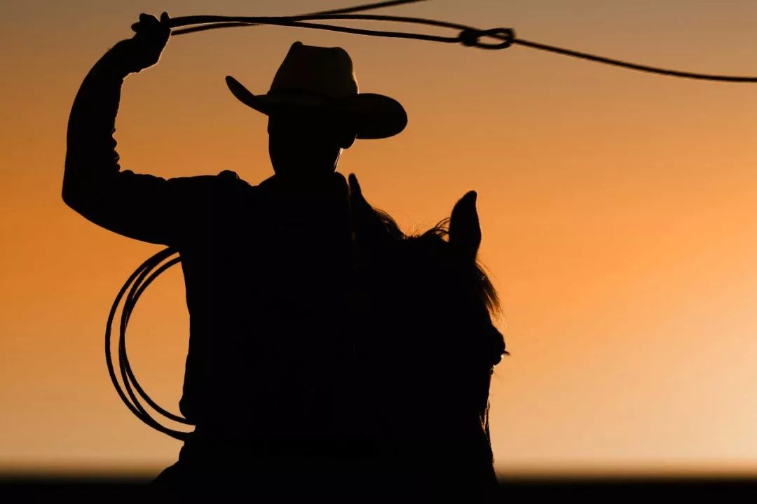 双面德州带你看牛仔与音符的德克萨斯风情