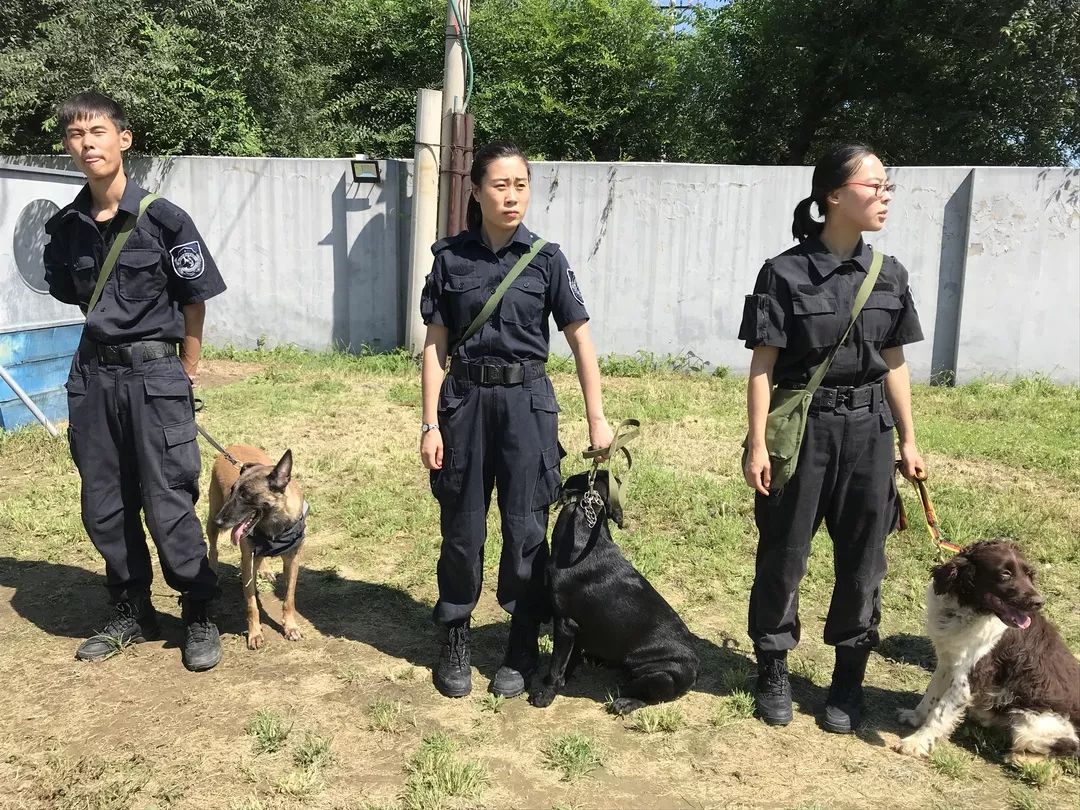 小小訓犬員公交總隊訓犬基地體驗活動活動火熱報名中