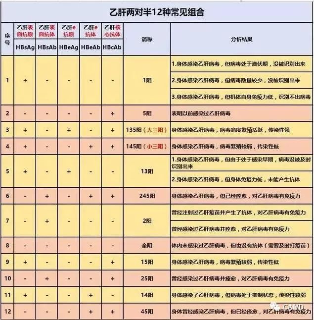 传染病四项检查报告解读