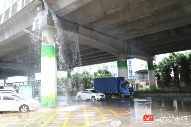 今年夏季,深圳雨水天氣較多.