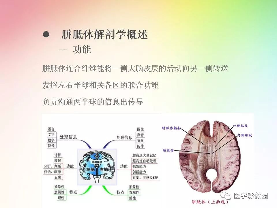 胼胝体病变影像学表现影像天地