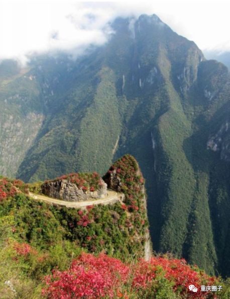 保護區面積達12萬畝,包括大官山和白果兩個林區,著名景點有陰條嶺主峰