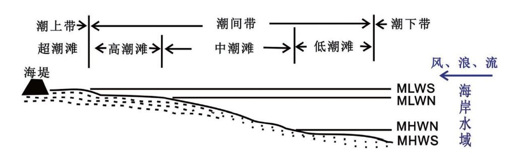 潮间带示意图图片