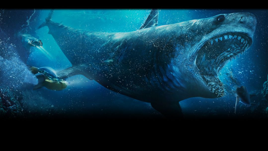 巨齿鲨的样子图片
