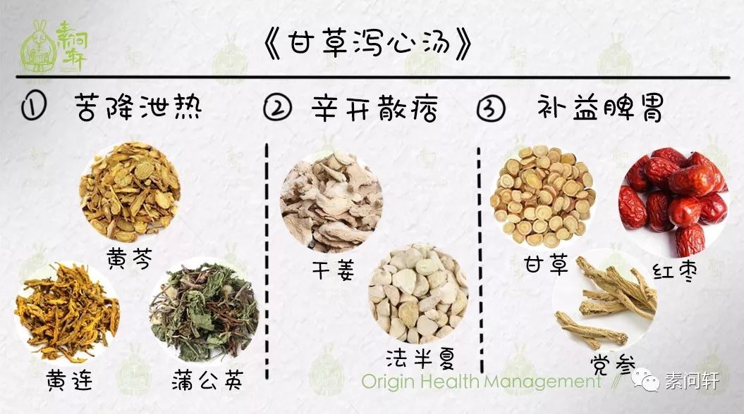 刘渡舟甘草泻心汤医案图片