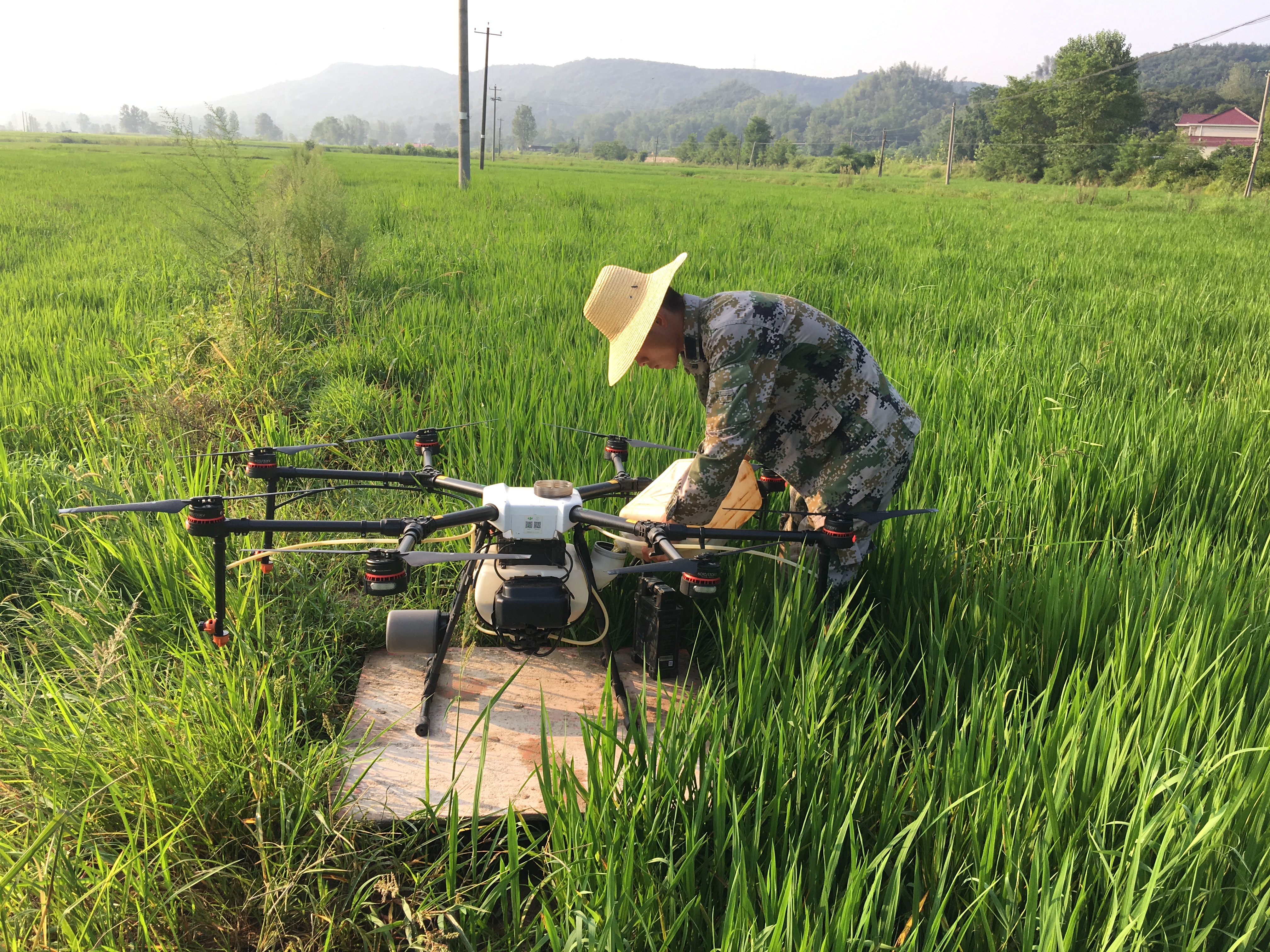 霍山种粮大户用无人机防治虫害