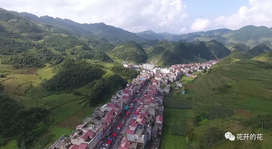 镇雄花山乡图片