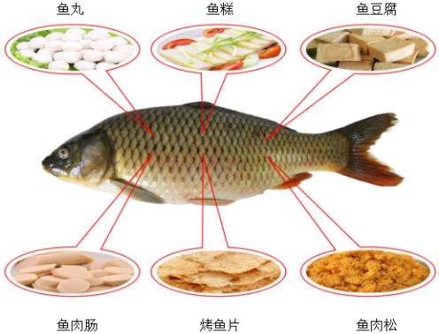 常见鲤鱼品种介绍图片图片